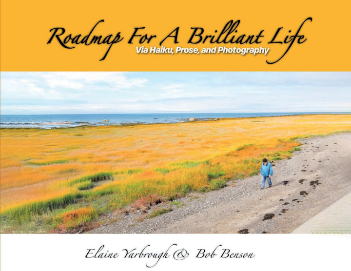 Kniha ROADMAP FOR A BRILLIANT LIFE Elaine Yarbrough & Bob Benson