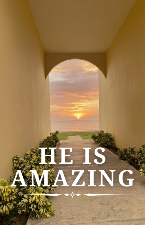 Kniha He Is Amazing Sunshine Vazquez