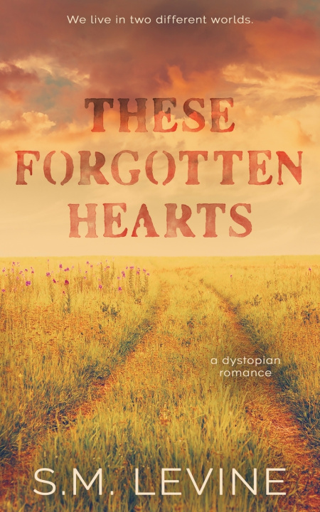 Knjiga These Forgotten Hearts S.M. Levine