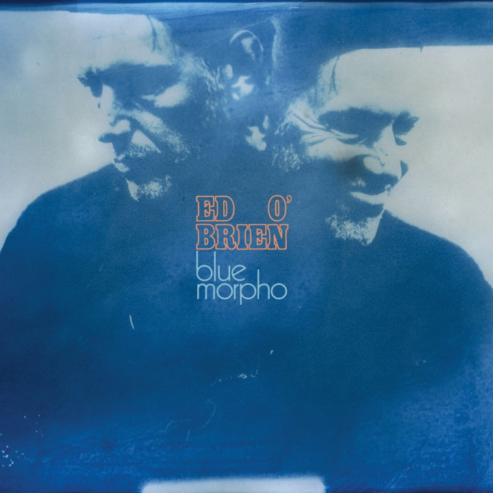 Zvok Blue Morpho Ed O'Brien