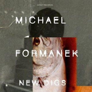 Audio New Digs Michael Formanek