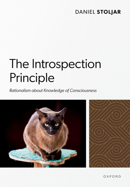 Book The Introspection Principle Daniel Stoljar