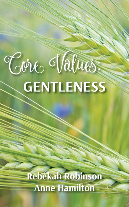 Kniha Core Values Rebekah Robinson