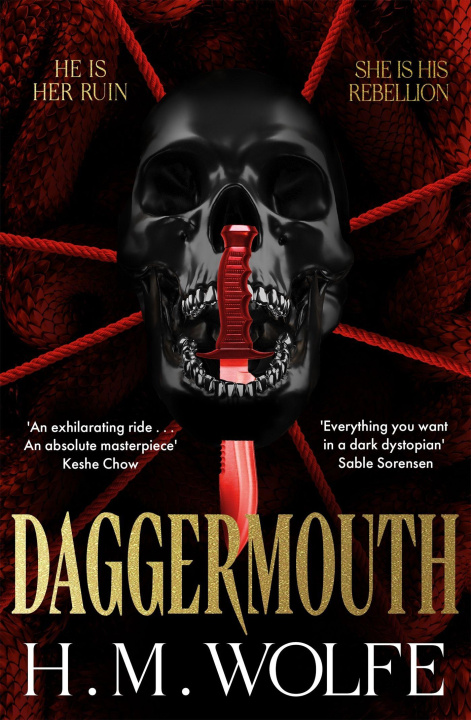 Książka Daggermouth H. M. Wolfe