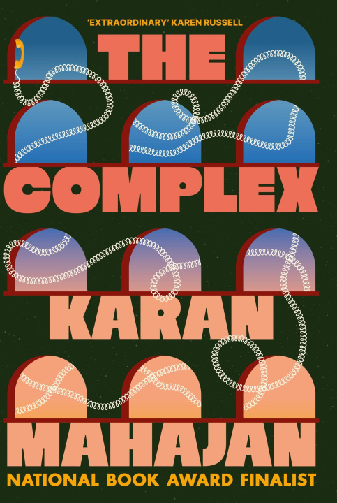 Knjiga The Complex Karan Mahajan