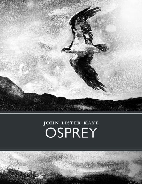 Książka Osprey John Lister-Kaye