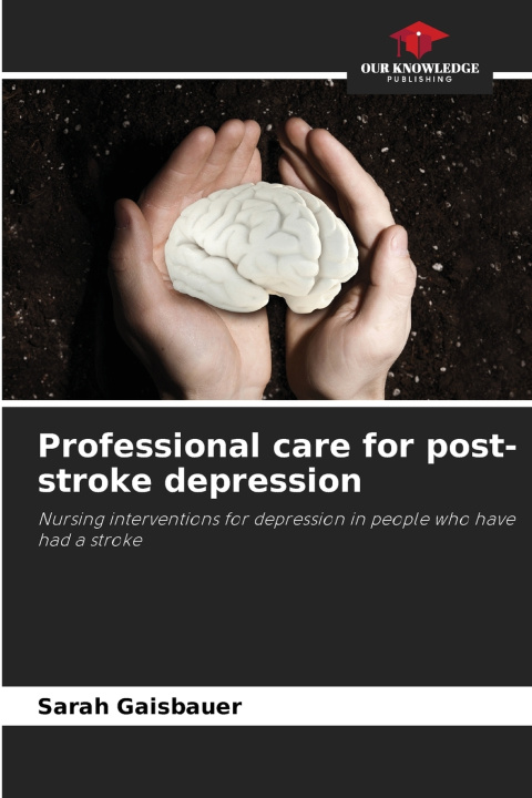 Buch Professional care for post-stroke depression Sarah Gaisbauer