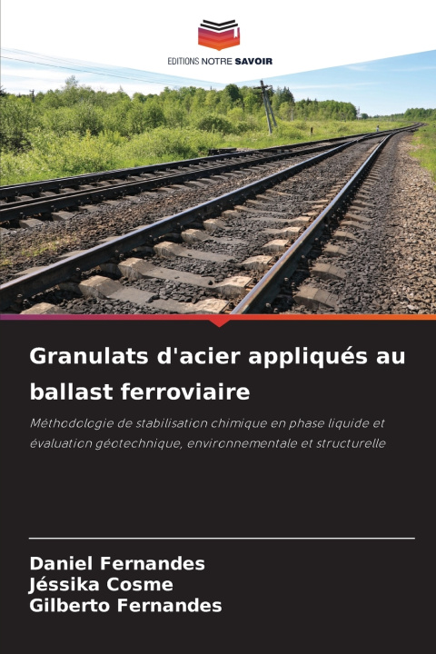 Knjiga Granulats d'acier appliqués au ballast ferroviaire Daniel Fernandes
