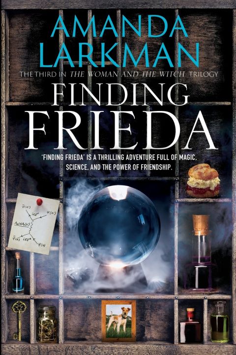Kniha Finding Frieda Amanda Larkman