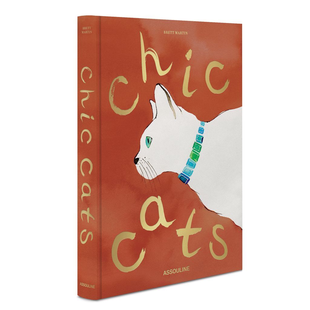 Kniha Chic Cats Martin