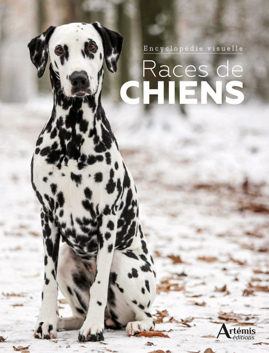 Książka Races de chiens 