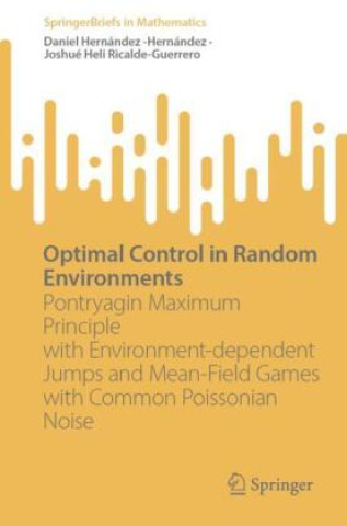Książka Optimal Control in Random Environments Daniel Hernández -Hernández