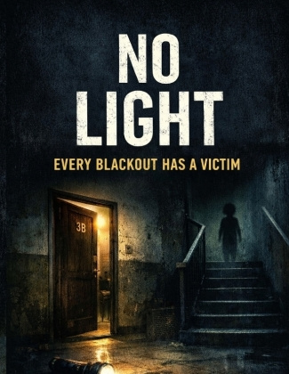 Książka No Light Dominik Mikulaschek