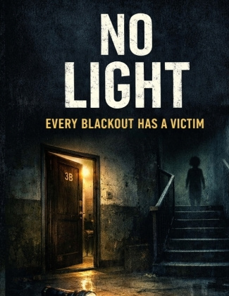 Książka No Light Dominik Mikulaschek