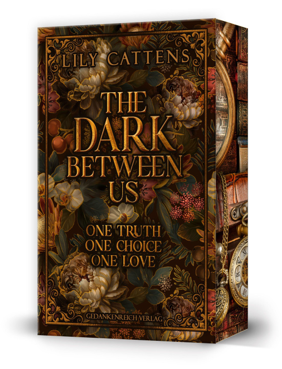 Książka The dark between us 