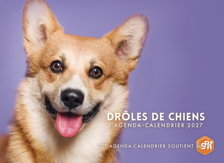 Kalendár/Diár Drôles de chiens - Agenda - Calendrier - Semainier 2027 