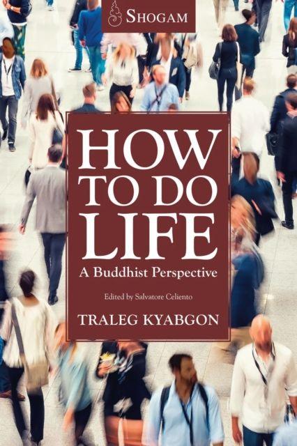 Boek How To Do Life Traleg Kyabgon Rinpoche IX