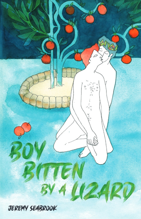 Knjiga Boy Bitten by a Lizard Jeremy Seabrook