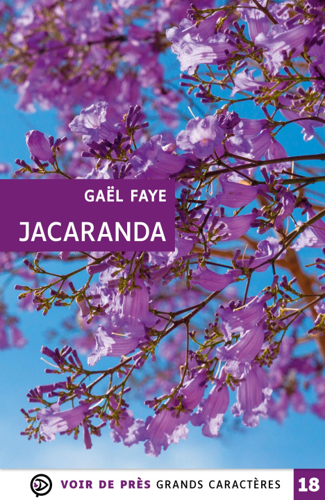 Kniha JACARANDA Faye