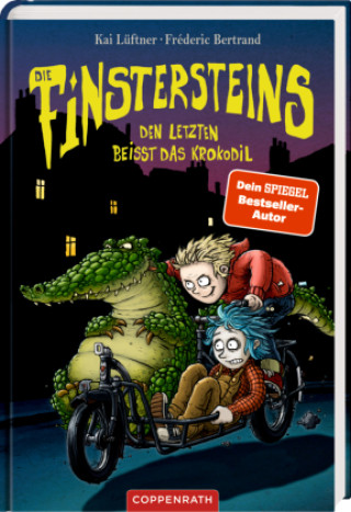 Kniha Die Finstersteins (Bd. 3) Kai Lüftner