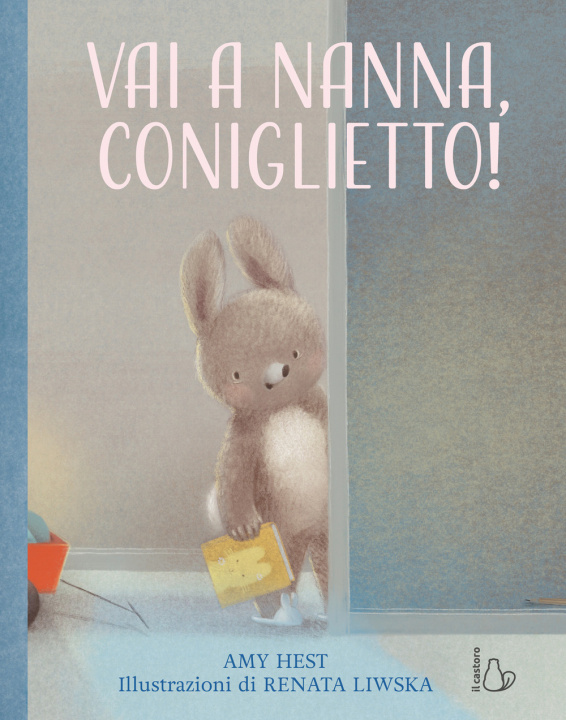 Knjiga Vai a nanna, coniglietto! Amy Hest