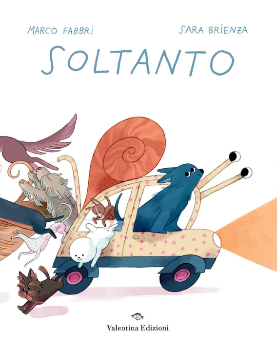 Knjiga Soltanto Marco Fabbri