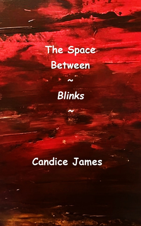 Kniha The Space Between Blinks Candice James
