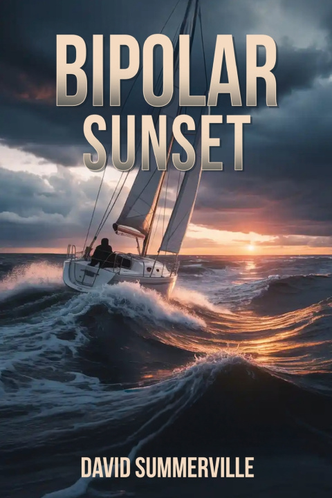 Kniha Bipolar Sunset David Summerville