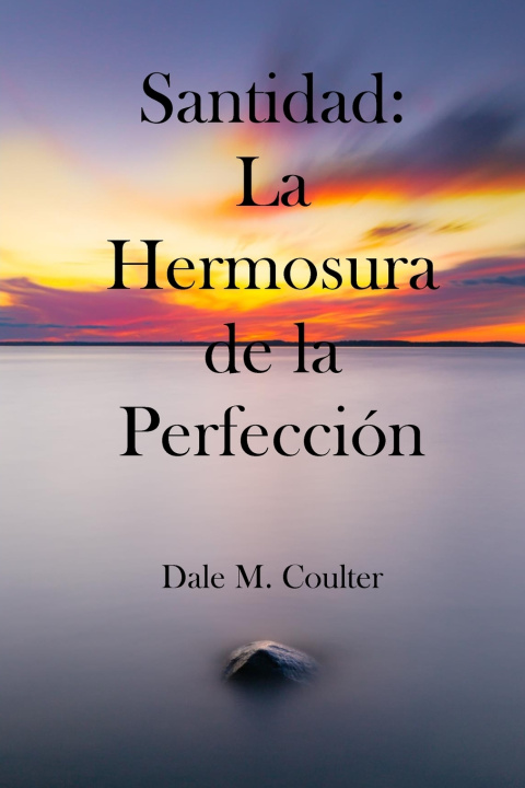 Kniha Santidad Dale M. Coulter