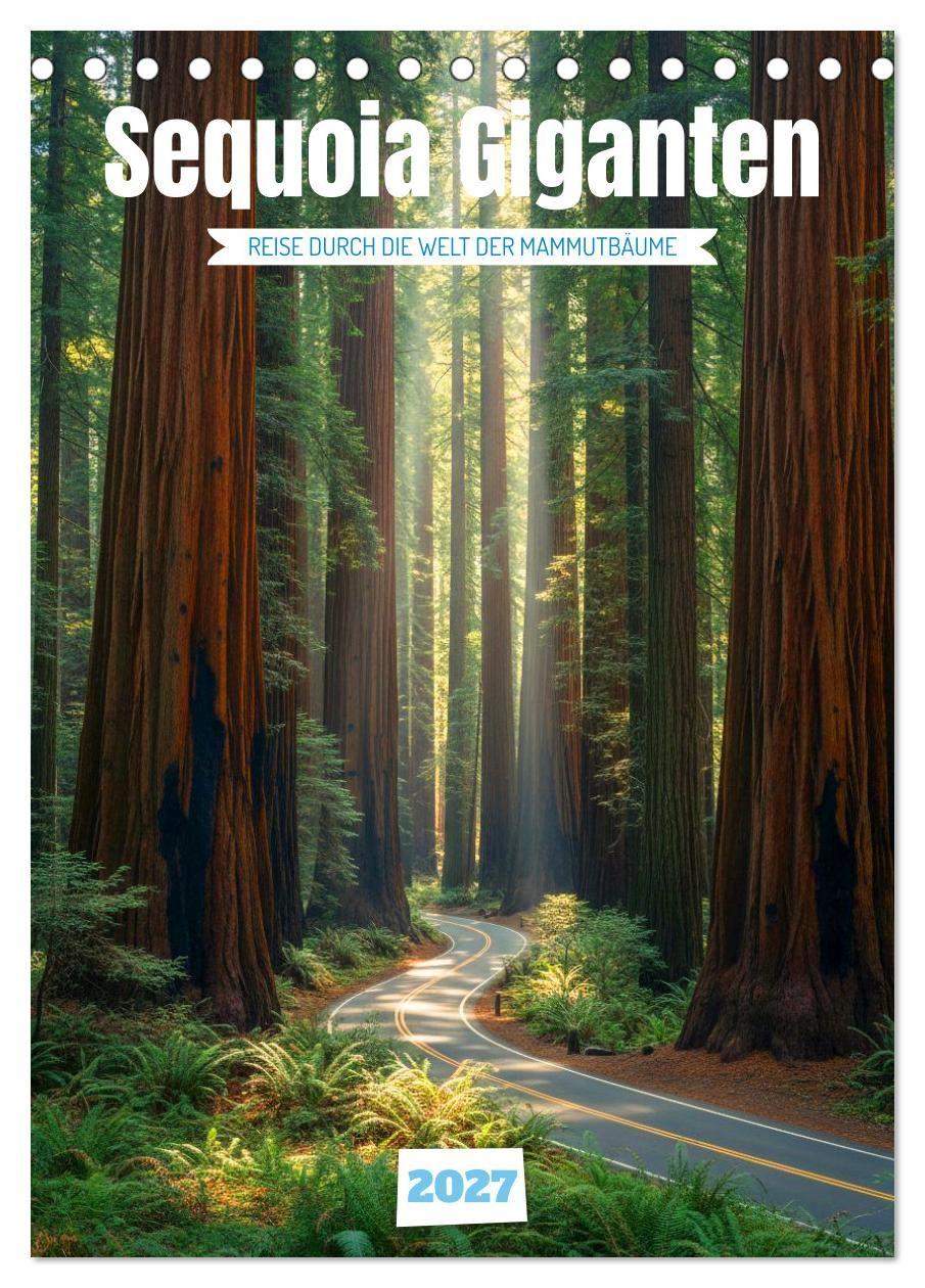 Kalendár/Diár Sequoia Giganten (Tischkalender 2027 DIN A5 hoch), CALVENDO Monatskalender Calvendo