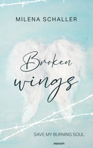 Kniha Broken wings Milena Schaller