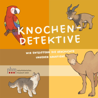 Buch Knochendetektive Konstantina Saliari