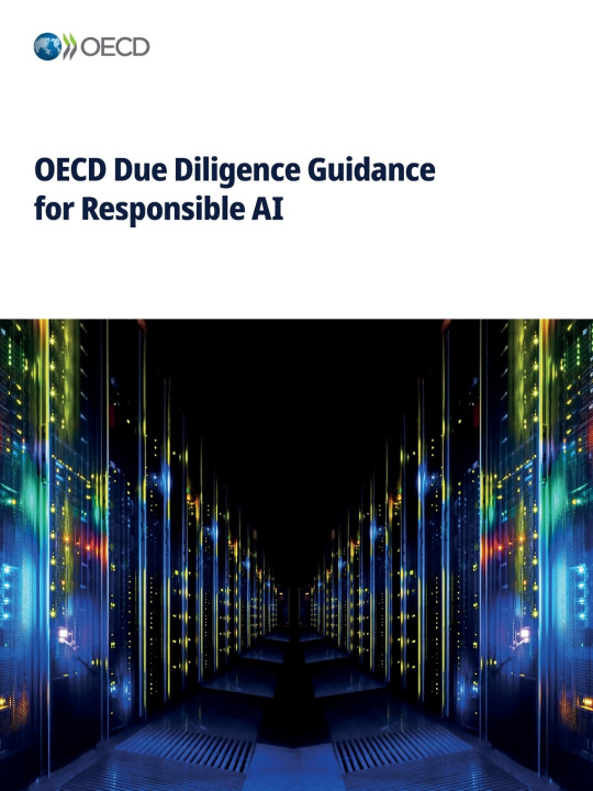 Knjiga OECD Due Diligence Guidance for Responsible AI OECD