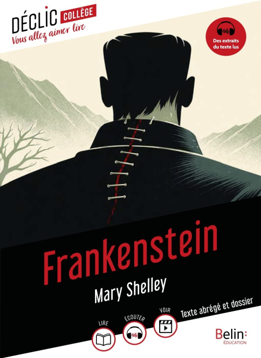 Buch Frankenstein Shelley