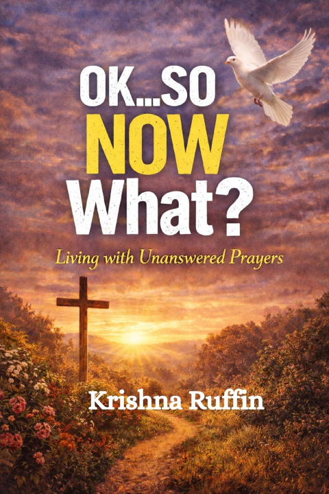 Boek Ok...So NOW What? Krishna Ruffin