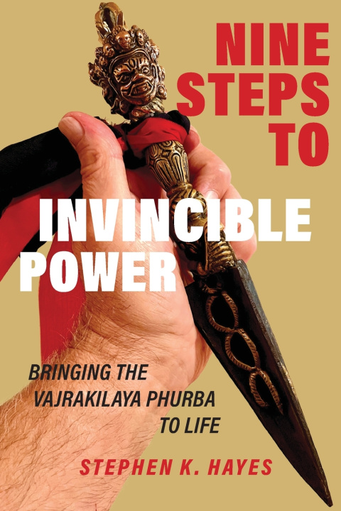 Knjiga Nine Steps to Invincible Power Stephen K. Hayes