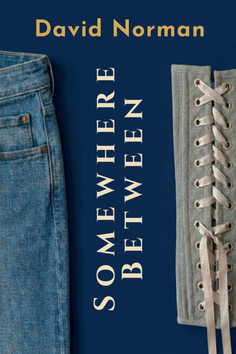 Book Somewhere Between David Norman