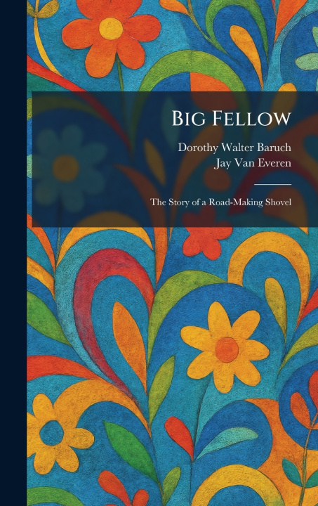Boek Big Fellow Dorothy Walter Baruch