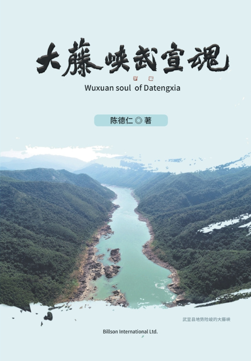 Kniha 大藤峡武宣魂 陈德仁