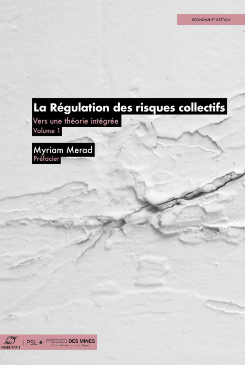 Kniha La Régulation des risques collectifs Merad
