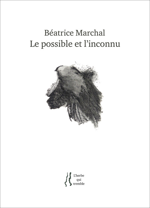 Buch Le possible et l'inconnu Marchal