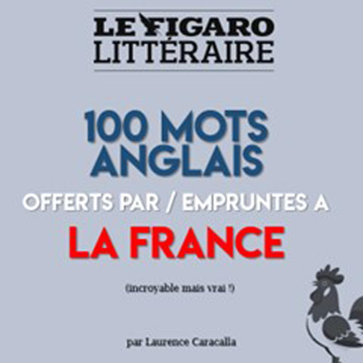Kniha PLV de 5 guides 100 mots anglais offerts par la France Laurence