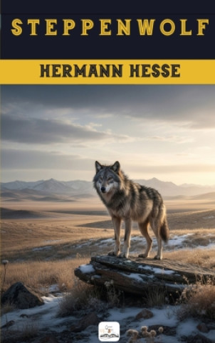 Könyv Steppenwolf Hermann Hesse