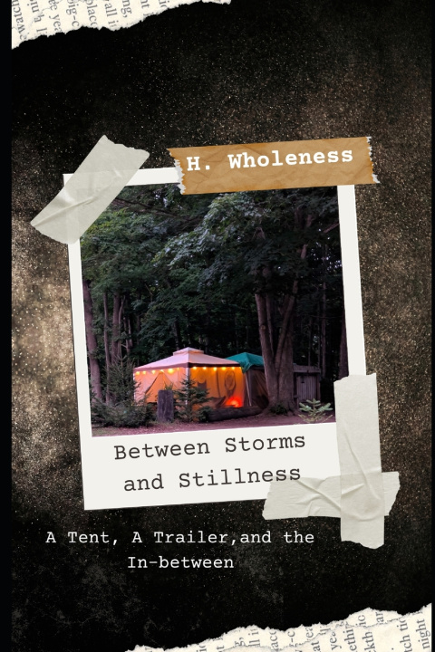 Kniha Between Storms and Stillness Heidi Wholeness