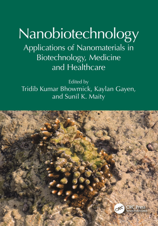 Kniha Nanobiotechnology Tridib Kumar Bhowmick