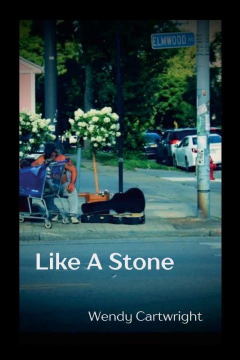 Knjiga Like A Stone Wendy Cartwright