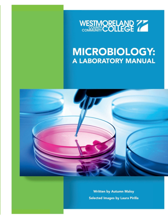 Kniha Microbiology Autumn A. Maloy