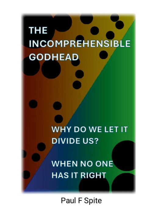 Kniha Why Do We Let It Divide Us Paul Spite