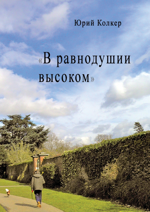 Knjiga В РАВНОДУШИИ ВЫСОКОМ Юрий Колкер