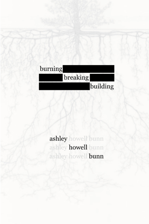 Kniha burning, breaking, building Ashley Howell Bunn